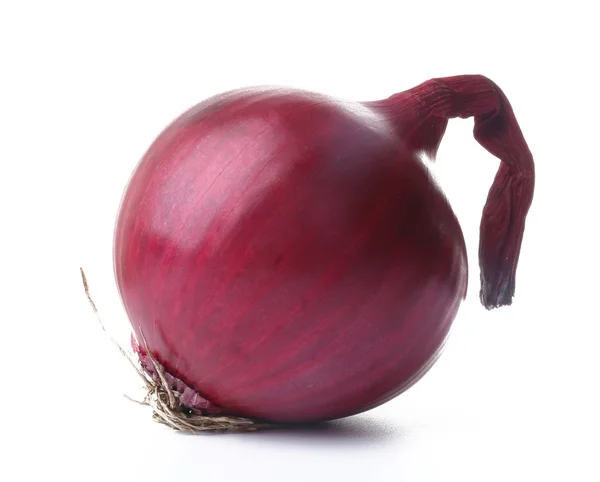 Kırmızı yuvarlak soğan — Stok fotoğraf
