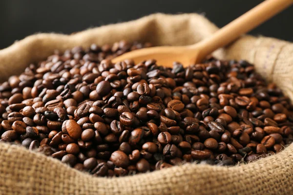 Sac with roasted coffee beans — Stock Photo, Image