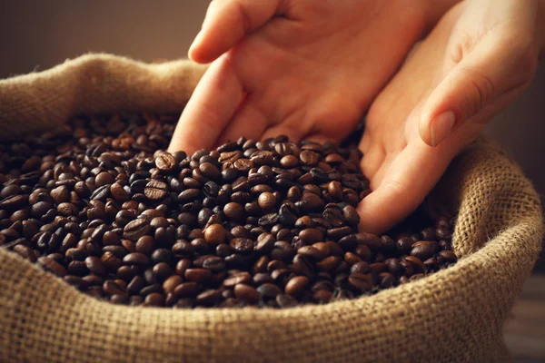 Hands in sac with roasted coffee beans — Stock Photo, Image