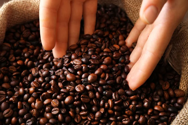 Hands in  coffee beans — Stock Photo, Image