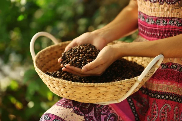 Female hands hold coffee beans — Stock Photo, Image