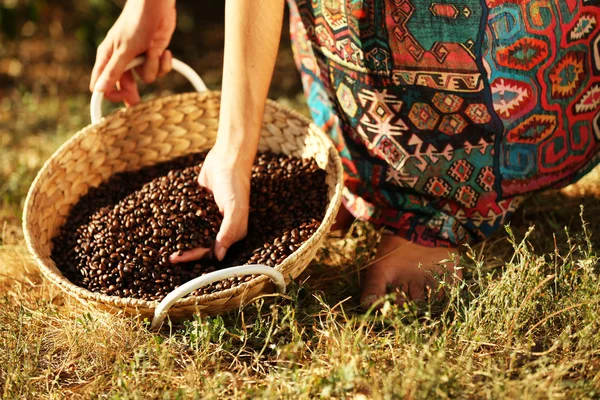 Woman handles coffee beans — Stock Photo, Image