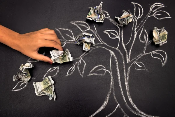 Money tree drawing on blackboard close up — Stock Photo, Image