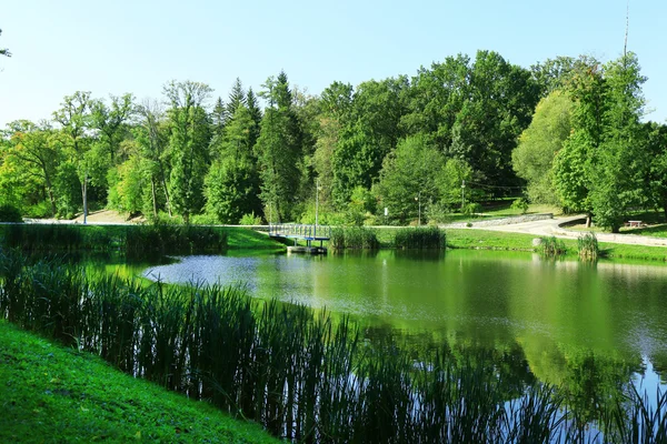 Sjön i parken Feofania. — Stockfoto