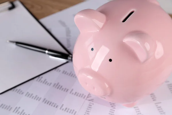 Pig moneybox and calculating equipment — Stock Photo, Image