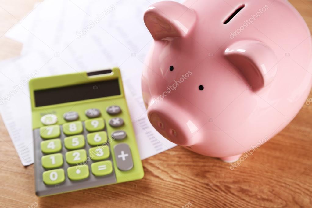 Pig moneybox and calculating equipment