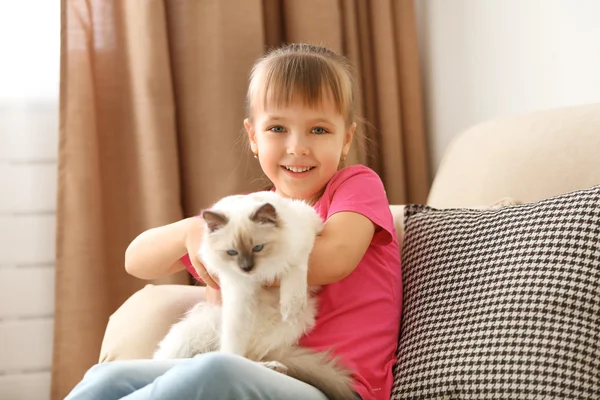 Dívka si hraje s kotětem na pohovce — Stock fotografie