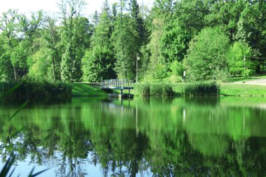Lake Park Feofania. Kiev, Ukrayna