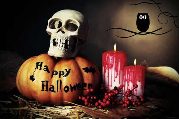 Halloween composition with images — Stock Photo, Image