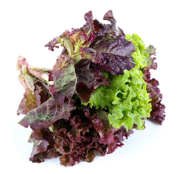 Bunch of lettuce isolated on white — Stock Photo, Image