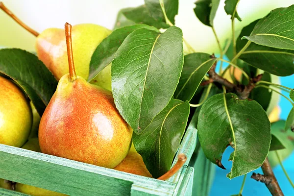 Fresh ripe pears in crate close up — Stock Photo, Image