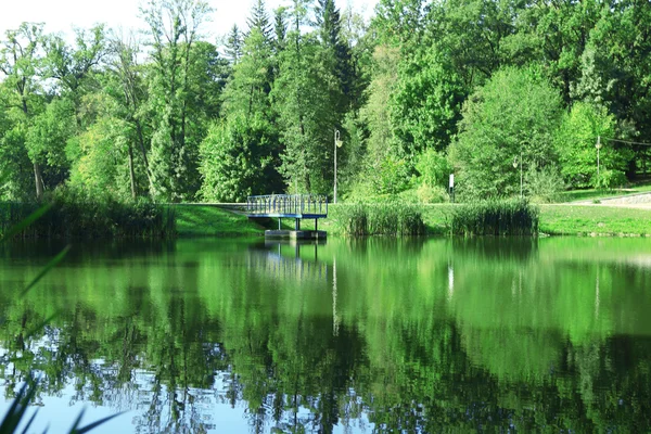 Lago no parque Feofania. Kiev, Ucrânia — Fotografia de Stock