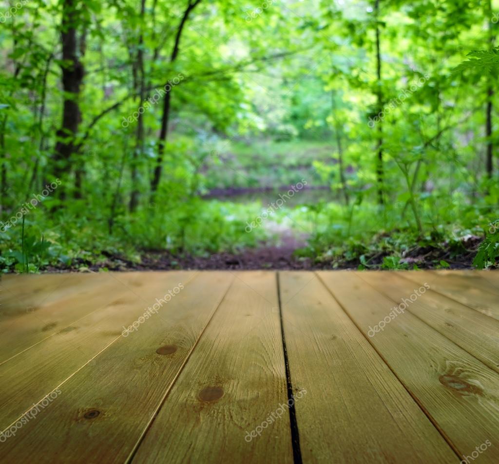Beautiful Forest Nature Background Stock Photo Image By C Belchonock Beautiful Forest Nature Background Stock Photo Image By C Belchonock