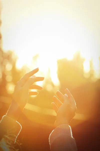 Manos en el fondo de luz solar — Foto de Stock