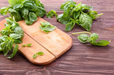 Yeşil taze fesleğen