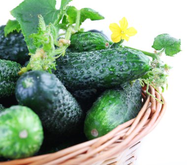 Hasır sepet beyaz izole salatalık ile