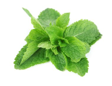 Beyaz nane demet izole, yakın çekim