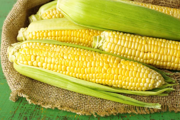 Fresh corn on cobs — Stock Photo, Image