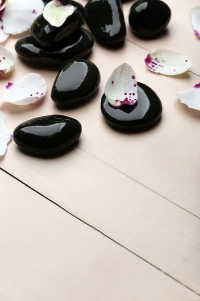 Orchid och zen stenar — Stockfoto