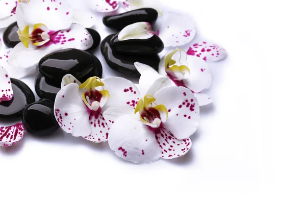 Orchidee und Zen-Steine — Stockfoto