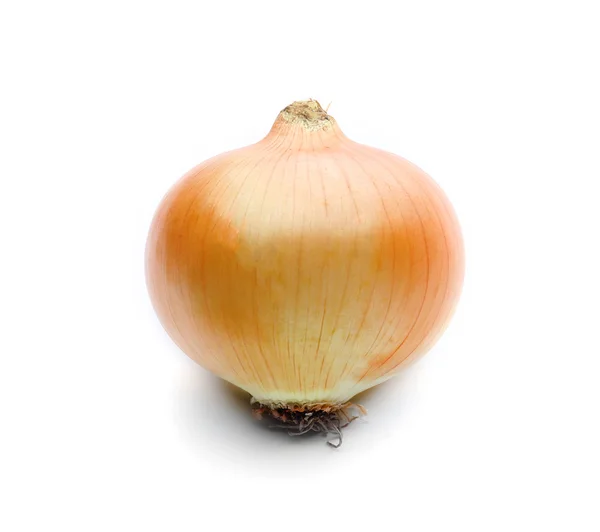 Onion isolated on white — Stock Photo, Image