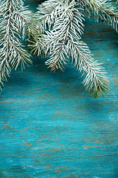 Weihnachtsbaum mit Frost — Stockfoto