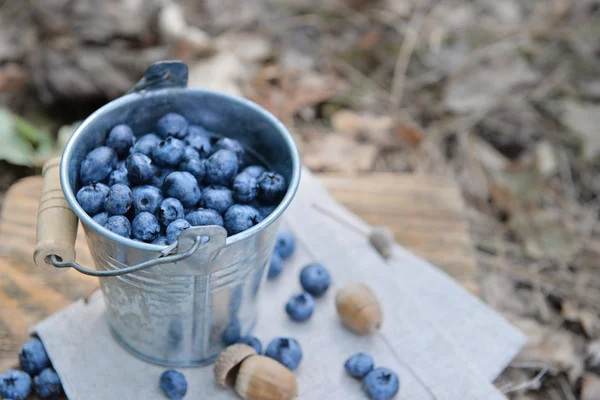 Bucket of ripe blueberry — Stock Photo, Image