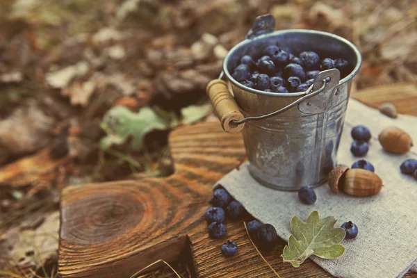 Bucket of ripe blueberry — Stock Photo, Image