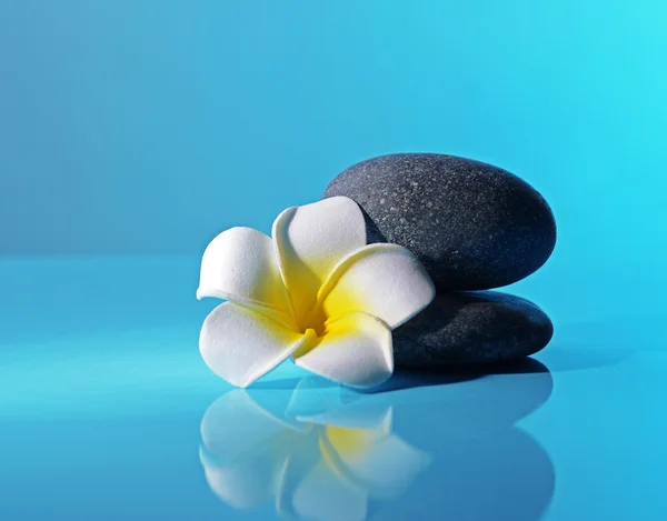 Piedras de spa y flor — Foto de Stock