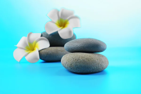 Курортные камни и цветы — стоковое фото