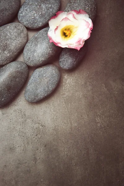Piedras de spa y flor — Foto de Stock