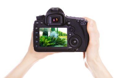 Fotoğrafçı ile iş yerinde fotoğraf makinesi 