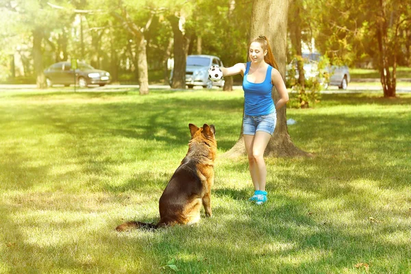 Chica joven con perro en el parque — Foto de Stock