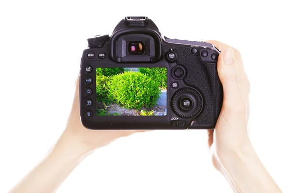 Fotoğrafçı ile iş yerinde fotoğraf makinesi — Stok fotoğraf