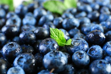 Yeşil yaprakları ile lezzetli olgun yaban mersini yakın çekim