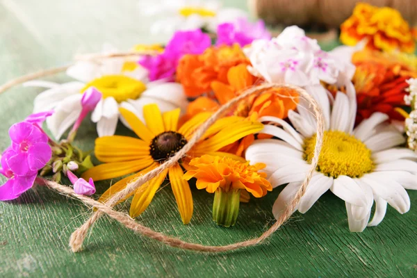 Fresh colorful flowers — Stock Photo, Image