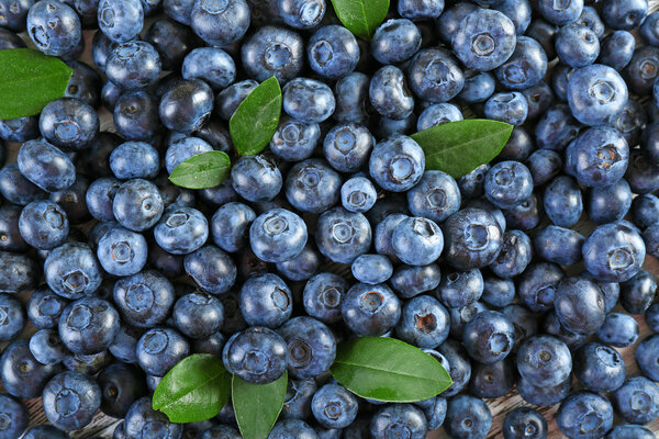 Tasty ripe blueberries with green leaves close up