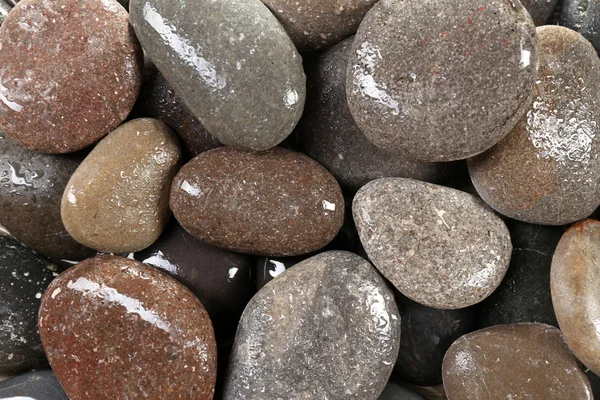 Sea pebbles background — Stock Photo, Image