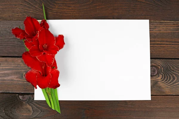 Leere Karte mit schönem Gladiolen — Stockfoto