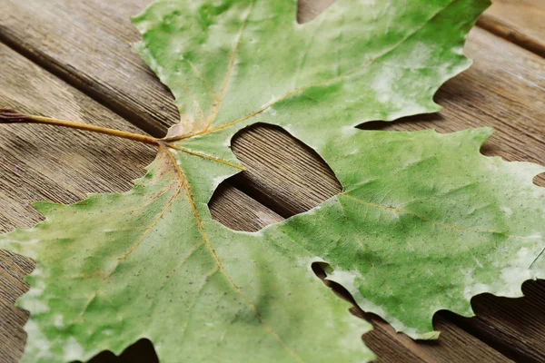 Feuille d'automne séchée avec coeur découpé — Photo