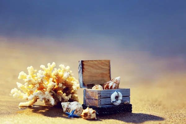 Coral and chest with shells — Stock Photo, Image