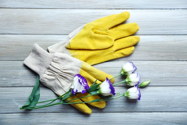 Gele gardener's handschoenen en gevoelige bloesem — Stockfoto