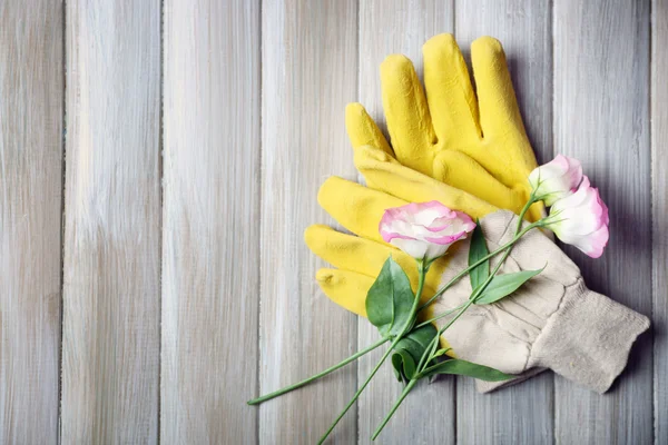 Gele gardener's handschoenen en gevoelige bloesem — Stockfoto