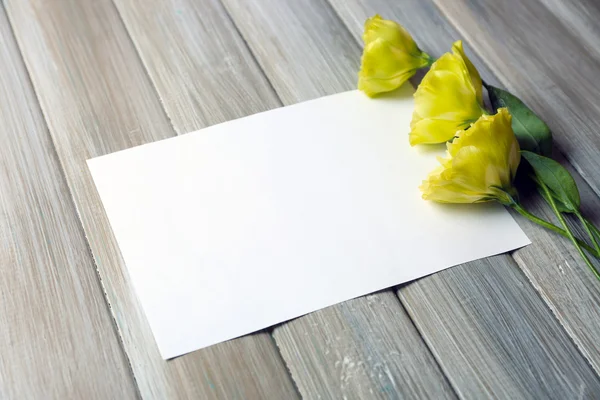 Sammansättningen av vitt ark och gul blossom — Stockfoto