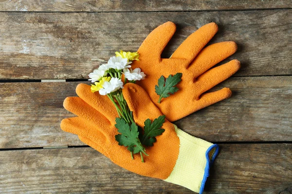 Beautiful composition of flower and garden gloves — Stock Photo, Image