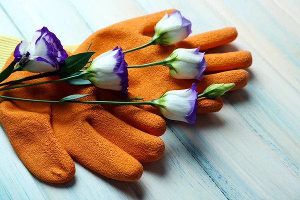 Nádherná skladba květin a zahradní rukavice — Stock fotografie