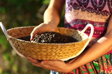 kahve çekirdekleri ile sepeti