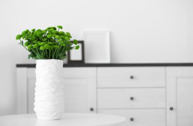 Güzel yeşil krizantem