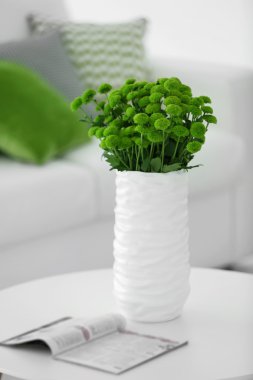 Güzel yeşil krizantem