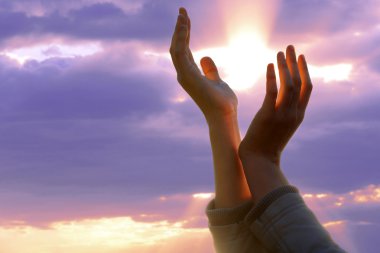 insan elinin işaret 